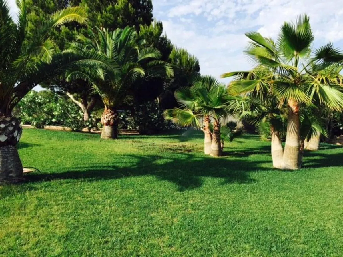 Casa mediterránea en el Sur Ses Salines  Ses Salines (Mallorca)